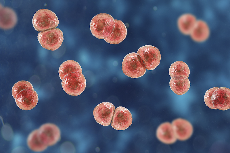 La degradación del 'medio ambiente' propaga la RAM