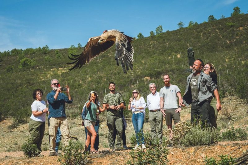 La buena salud de 'Melendri' un juvenil de Águila imperial