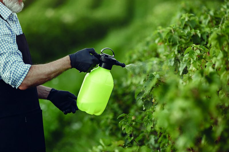 Las cosas pintan muy mal con el maldito 'glisofato'