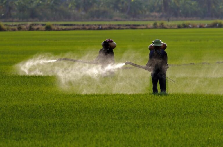 Polémica e incertidumbre sobre el futuro del 'glifosato'