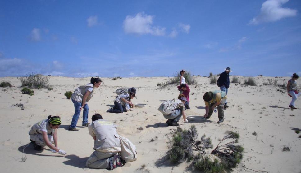 Retiran perdigones de plomo del Cerro de los Ánsares