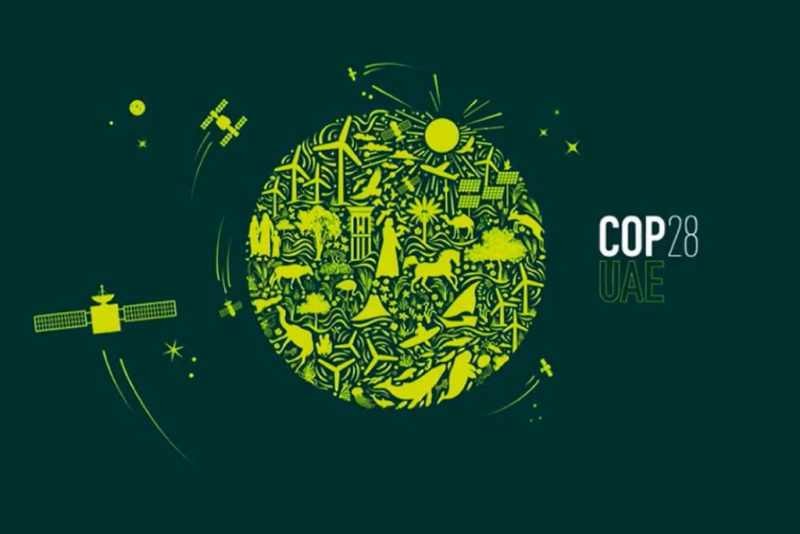 SEO/BirdLife estará presente en la COP28