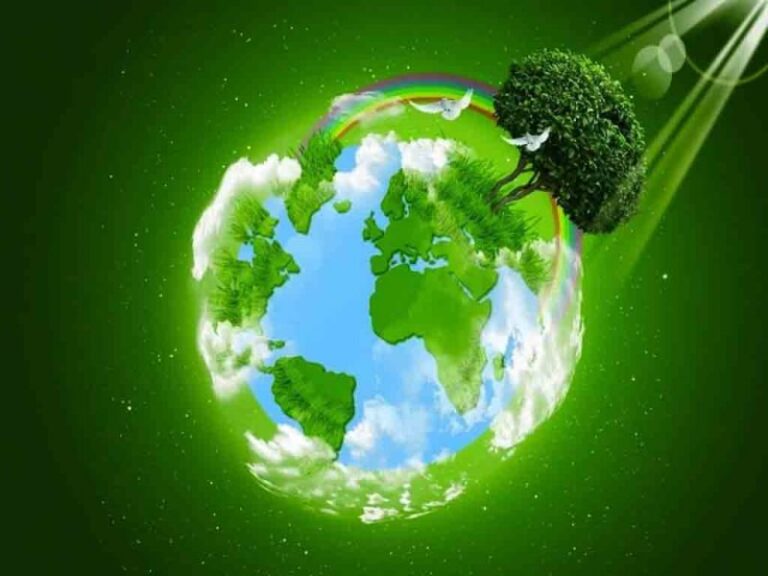 ecología ciencia