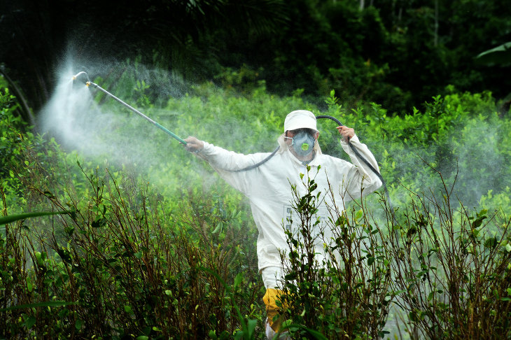 UE: Organizaciones contra la renovación del permiso al 'glisofato'