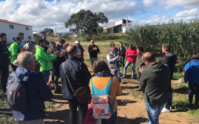 VI Fondo Semilla de fundación Aland 2023