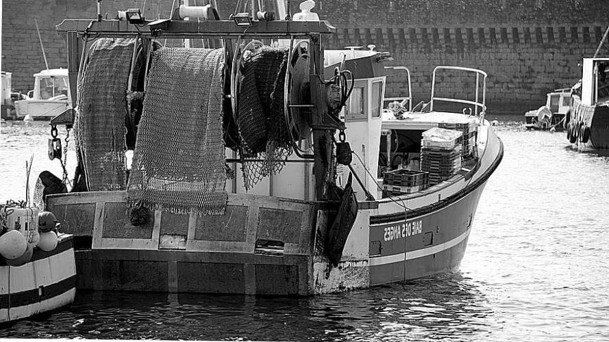 La pesca de arrastre acaba con las áreas marinas protegidas