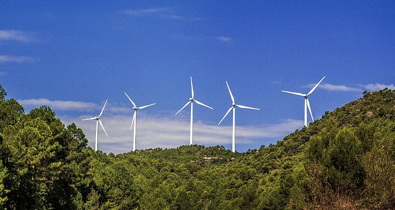 Los PIC y PIM que permitirán cumplir el Pacto Verde de la UE