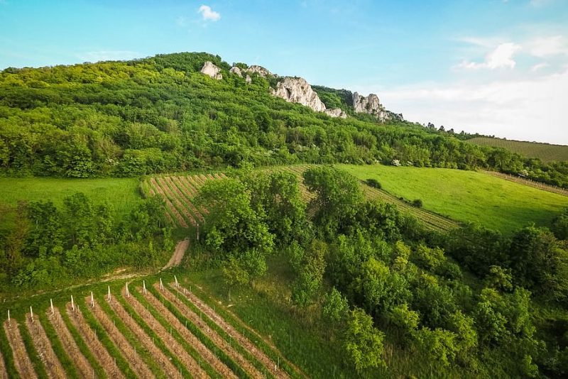 Día Internacional de las Reservas de la Biosfera 2023