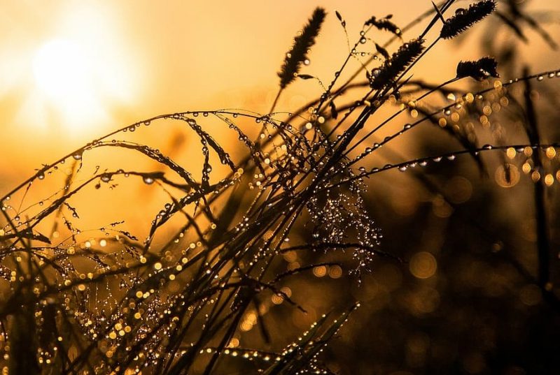 Octubre de 2023: extremadamente cálido y lluvioso