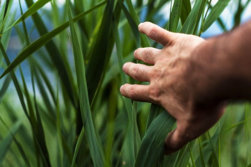 Por una política ecológica eficaz y eficiente