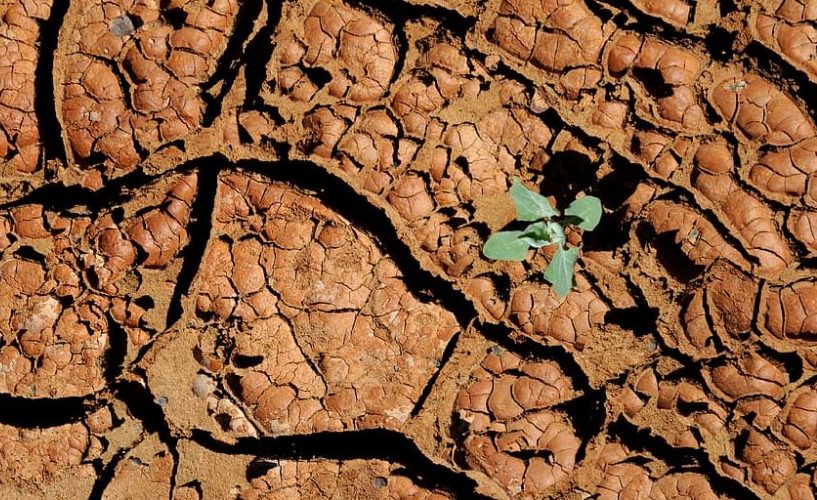 Variaciones regionales globales por el cambio climático