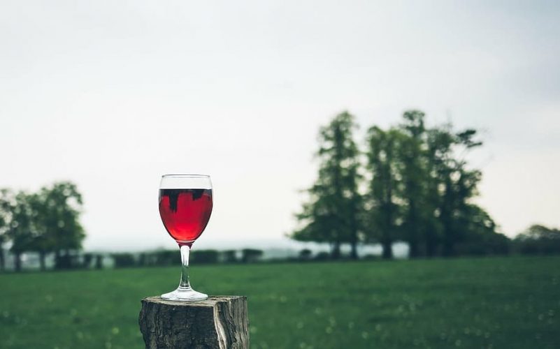 VII Conferencia Mundial de enoturismo de la OMT