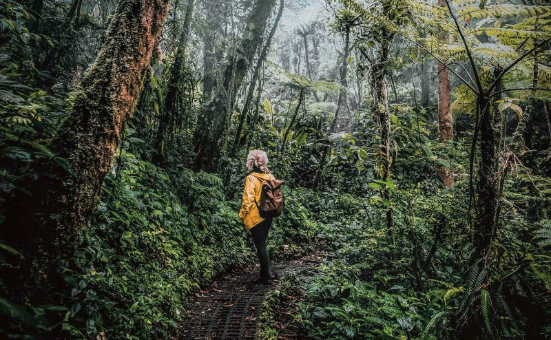 7 billones de dólares al año para 'destrozar' la naturaleza