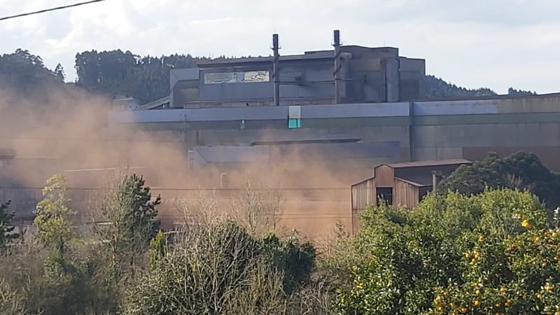 Asturias: 31º Edición de La Bullada Purpurina