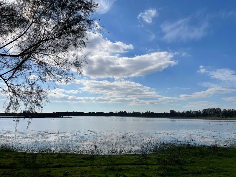 Buscan proyectos con impacto en el área de influencia de Doñana