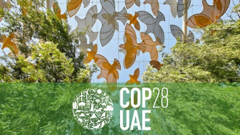 Canarias estará presente en la COP28