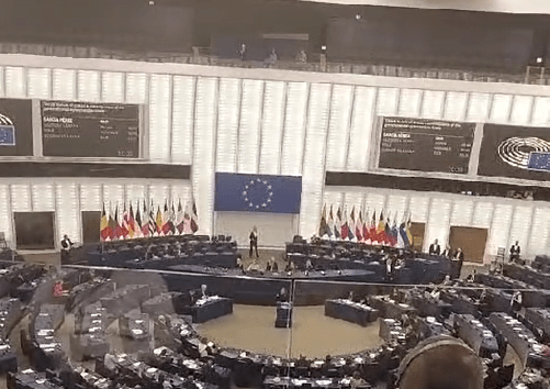 El PE quiere competencias medioambientales exclusivas