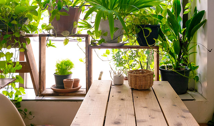 Consejos para un 'interiorismo' sostenible