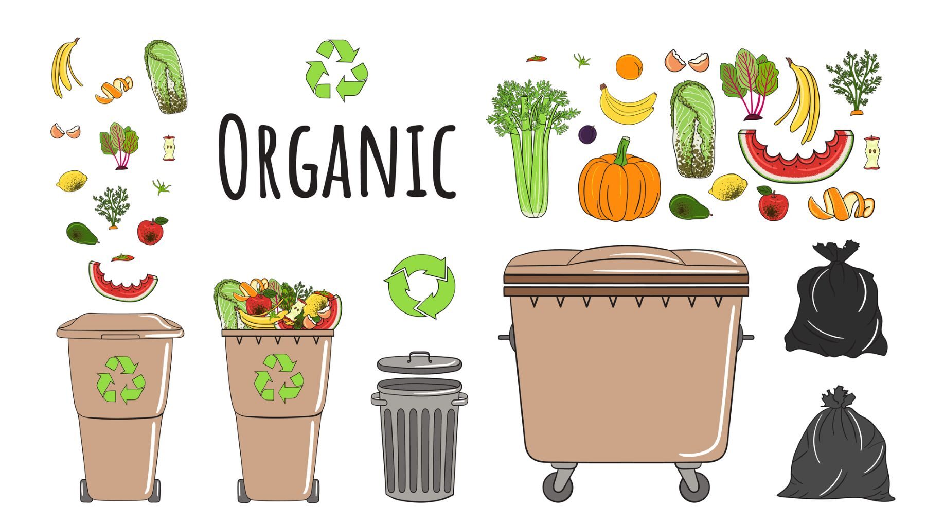 contenedor marrón u orgánico