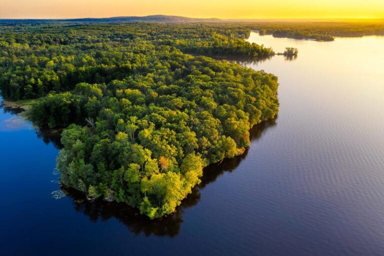 El TOP 10 de la revista Nature se acuerda del medio ambiente