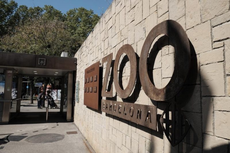 El Zoo de Barcelona contra el mundo