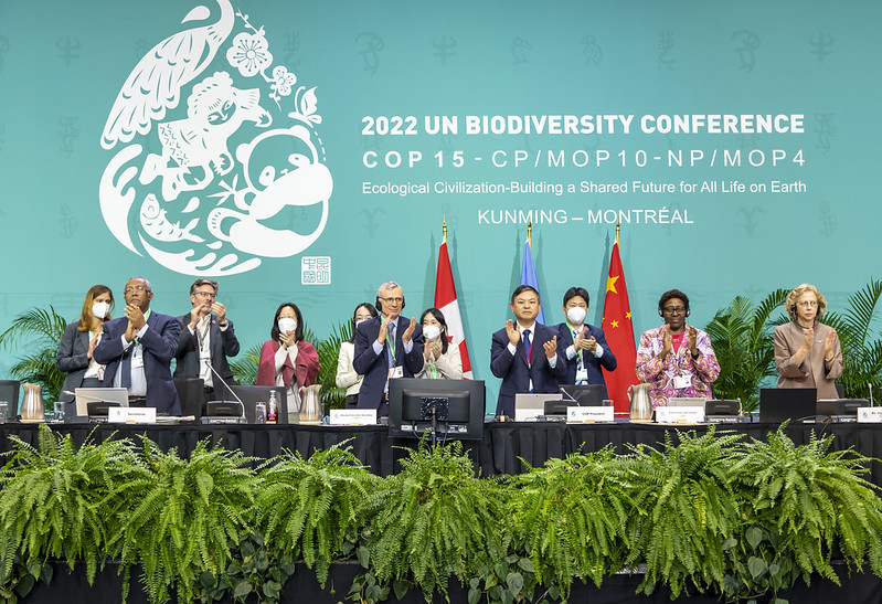 Feliz aniversario del 'Marco Mundial de Biodiversidad'