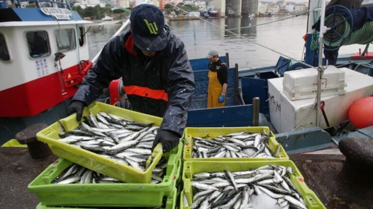 La 'errática' política de pesca de la UE