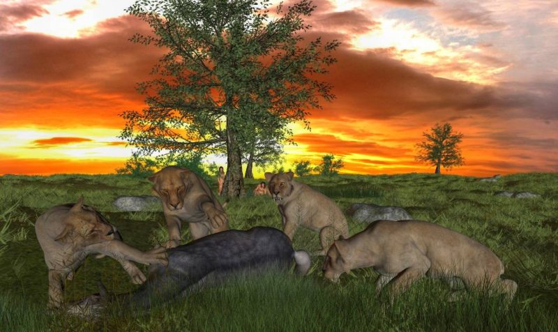 La interrelación entre grandes carnívoros, carroña y homínidos