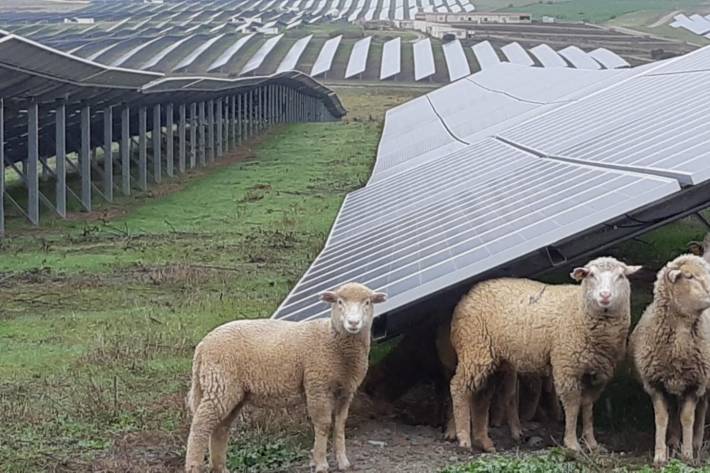 Los deseos más verdes del Medio Ambiente para 2024