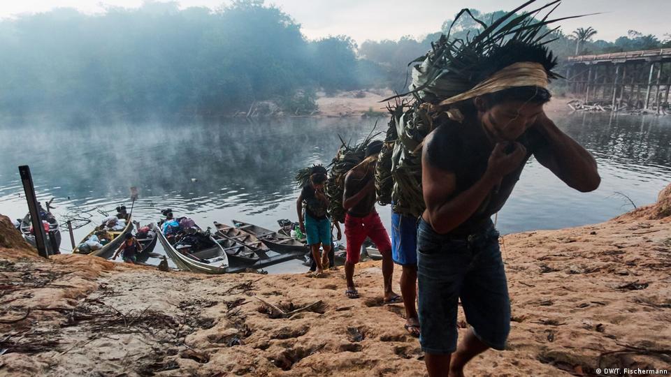 Novedades en el 'Panel Científico por la Amazonía'