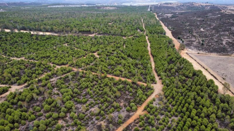 Oposición a la nueva balsa minera de Sandfire-MATSA