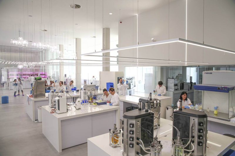 Proyecto EOCENE: Objetivo '0' residuos