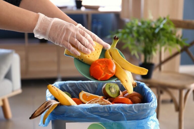 Qué es el desperdicio alimentario