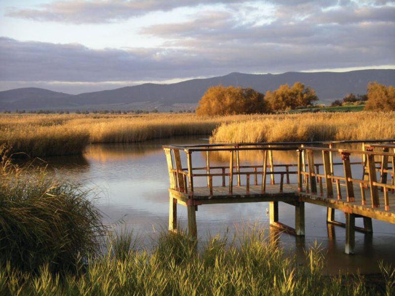 Qué paso en la reunión del Patronato de las Tablas de Daimiel
