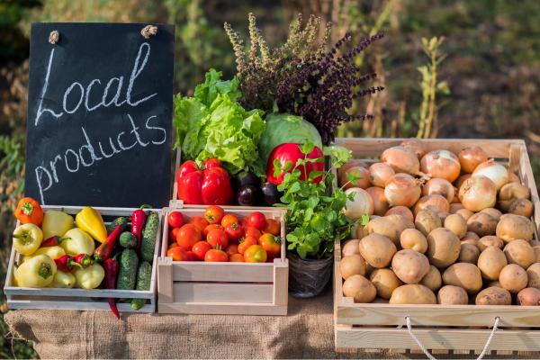 Red de comercialización productos agroalimentarios km 0