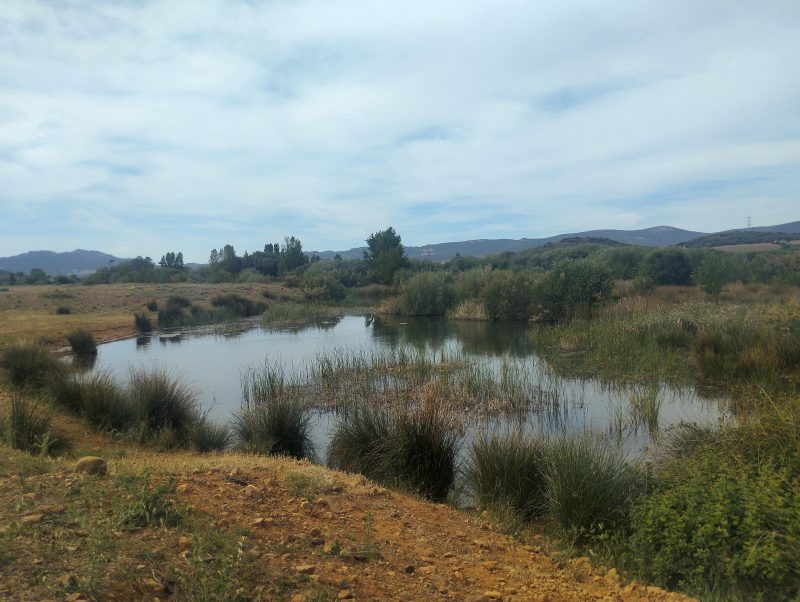 Restauración y divulgación del Charco del Tamujo