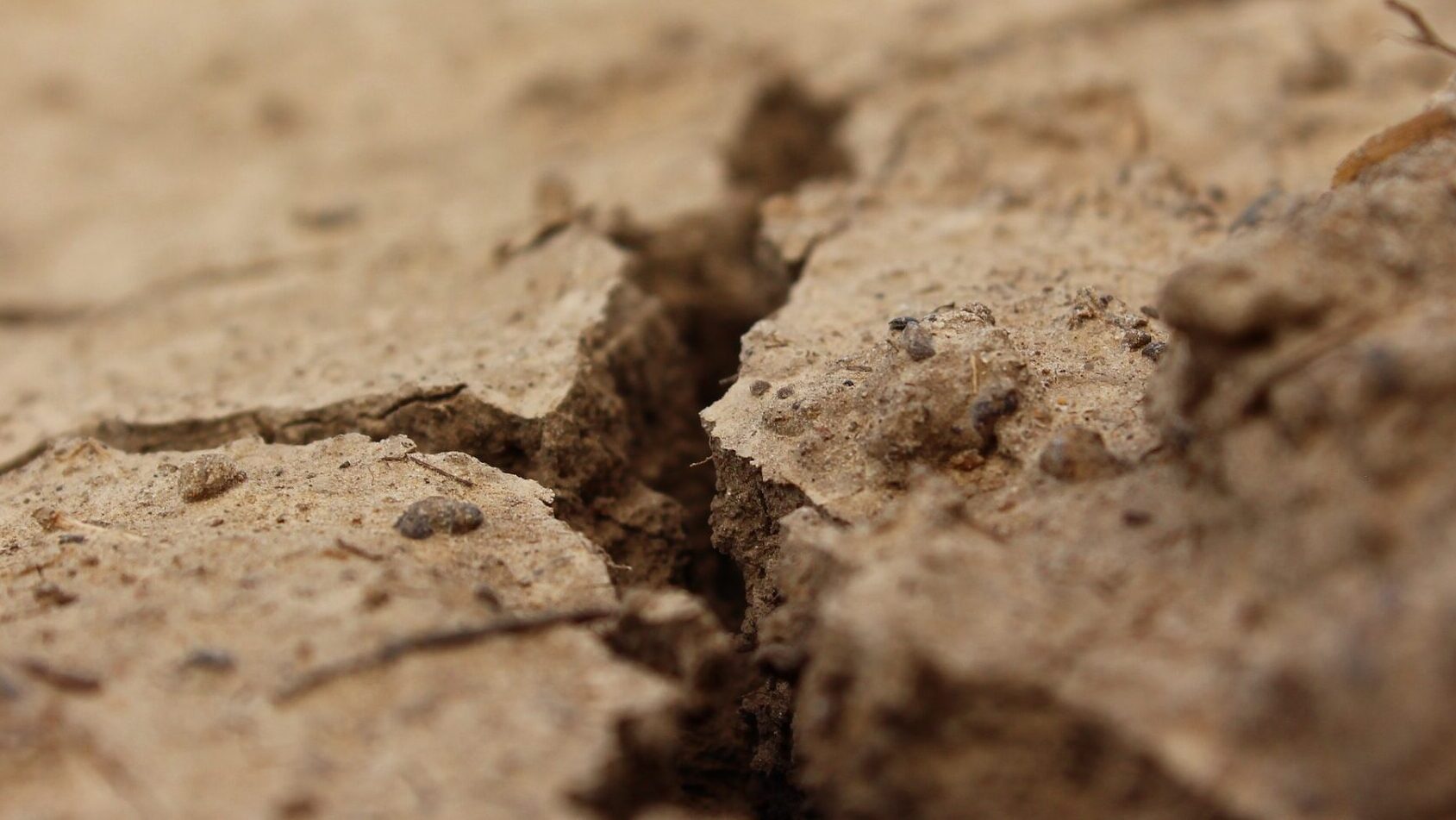 Contaminación del suelo consecuencias