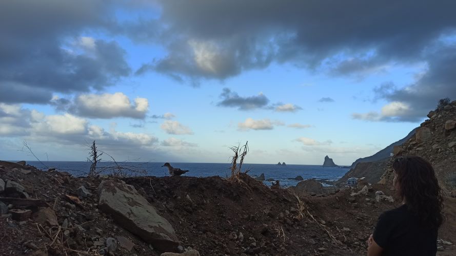 proyecto Life Natura@night