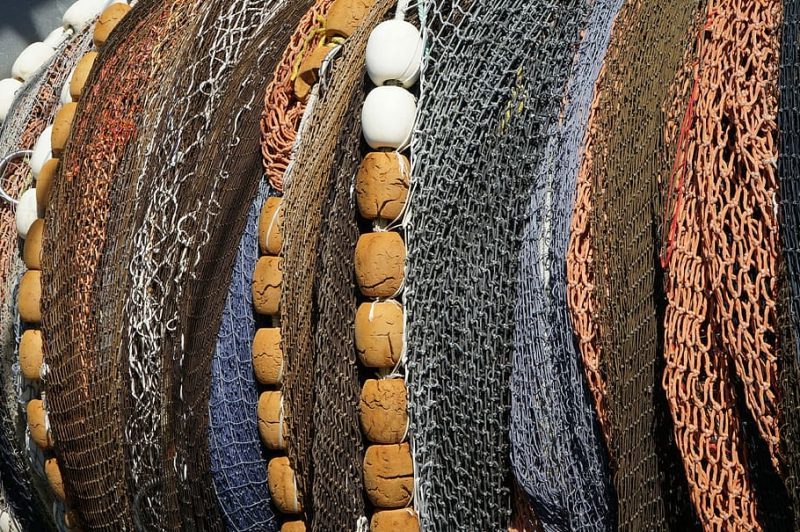 ¿Qué dice Oceana del acuerdo de la UE de los límites de pesca?