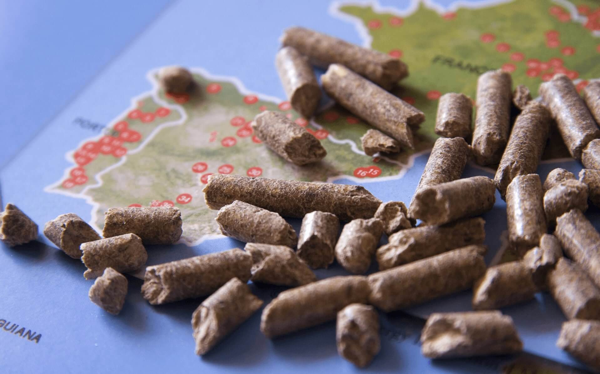 pellet-AVEBIOM-espana