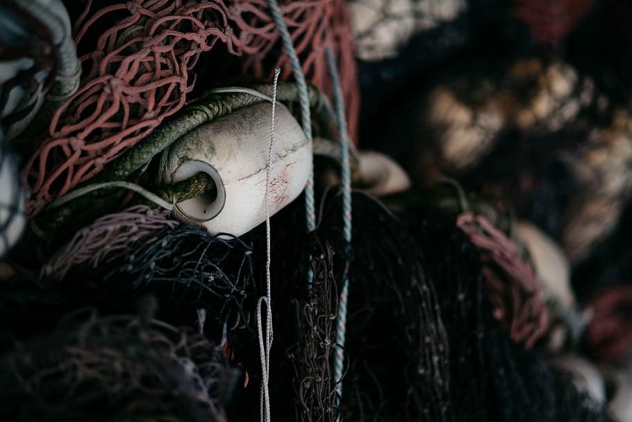 Sobrepesca: la plaga ilegal de la Unión Europea