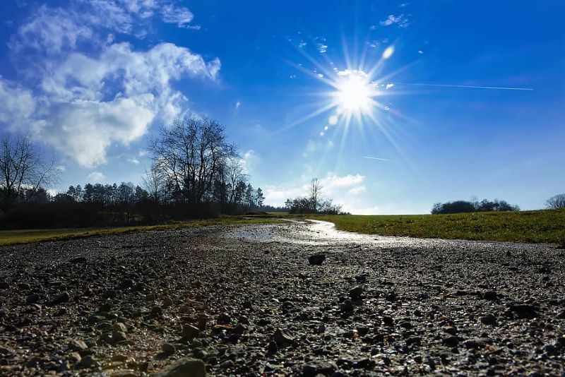 Revisión ley cambio climático
