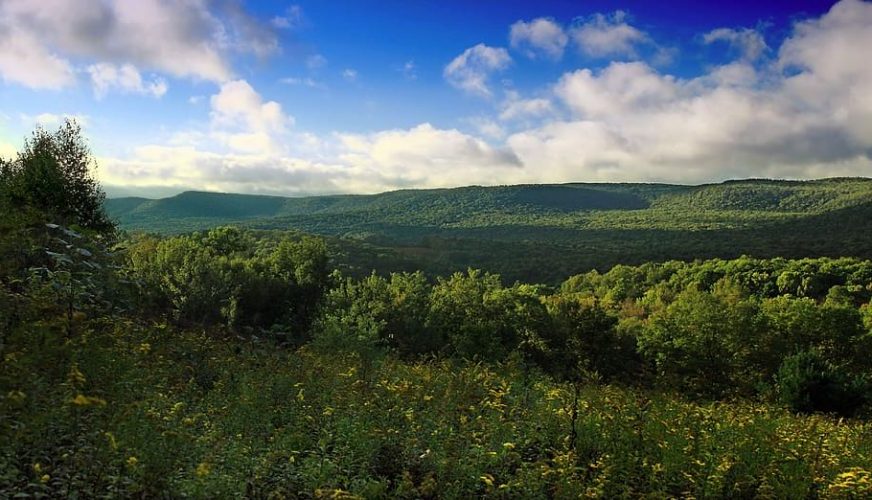Buscan Áreas Clave para la Biodiversidad en nuestro país