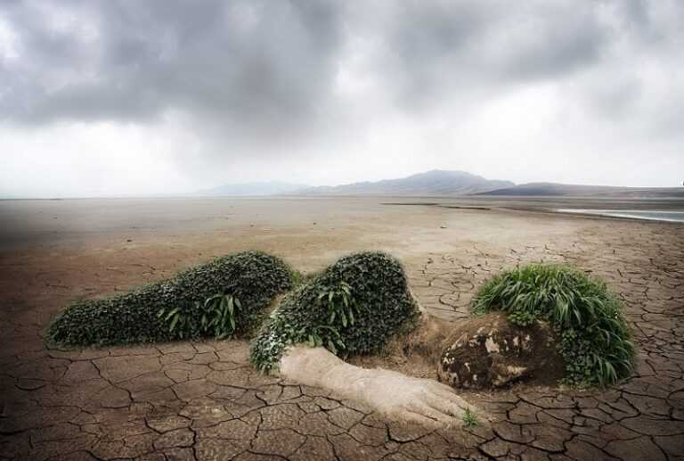triunfos fracasos medio ambiente espana mundo 2023 1
