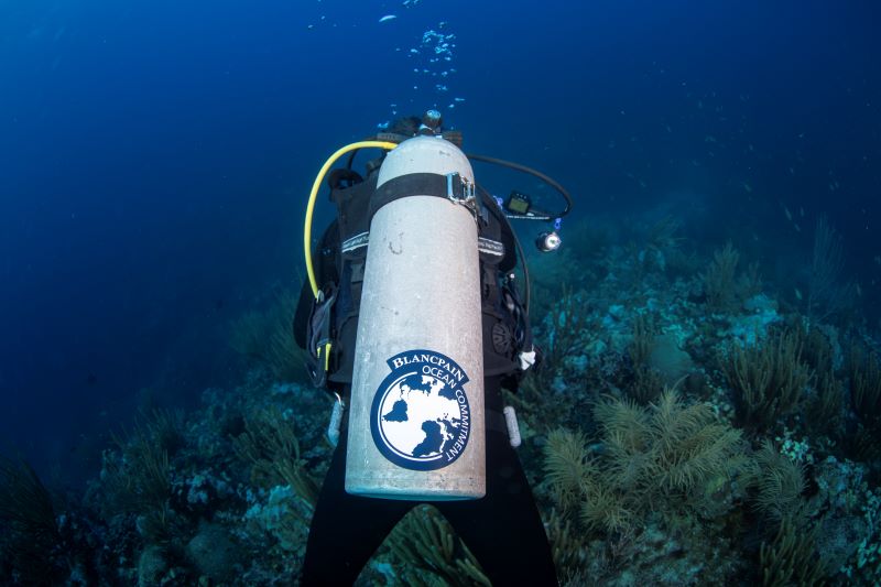 Parque Nacional Bajos del Norte