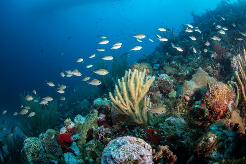 Parque nacional Bajos del Norte