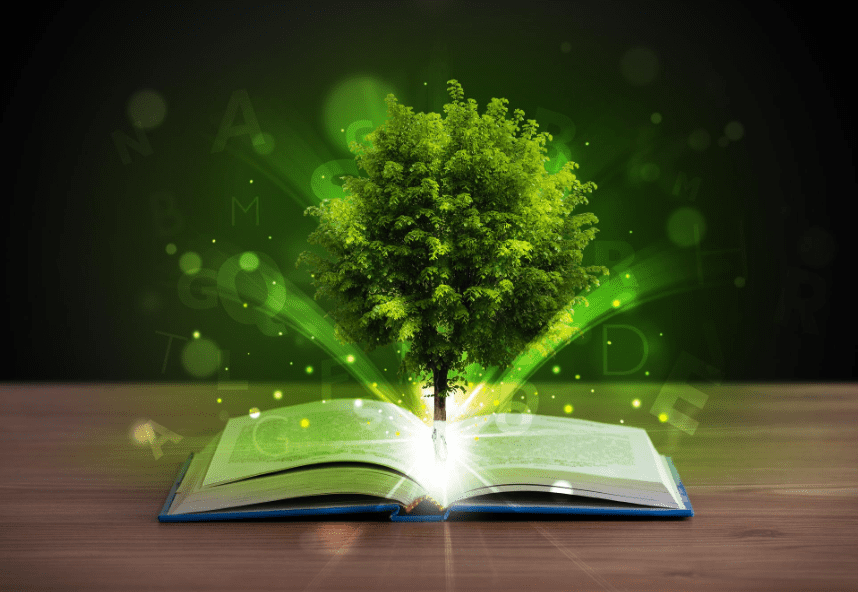 Día Mundial de la Formación Ambiental 2024