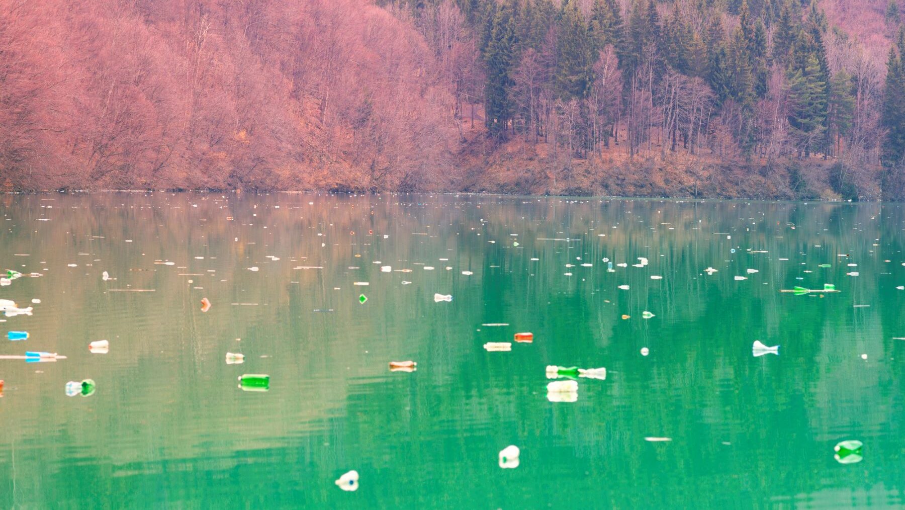 botellas de plástico medio ambiente