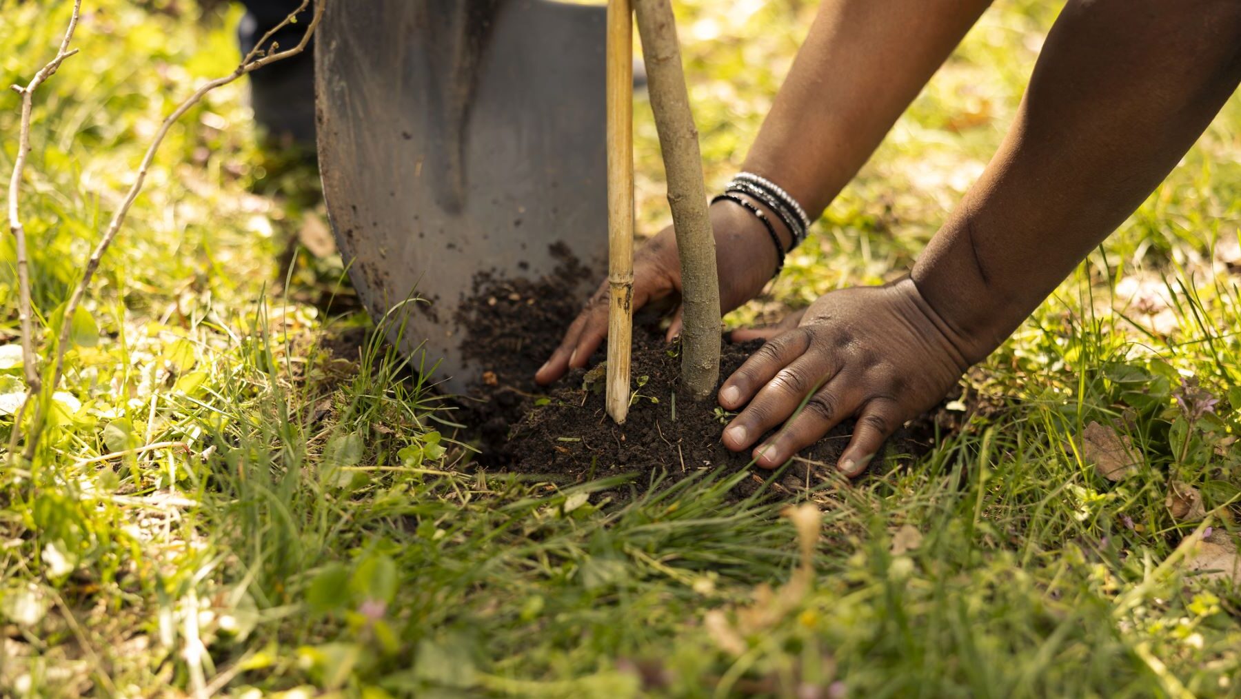 ecologistas en acción ONG