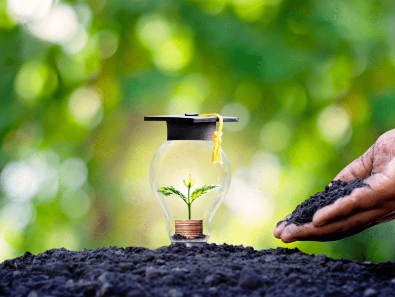 Día Mundial de la Formación Ambiental 2024